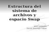 1 Estructura del sistema de archivos y espacio Swap ASO 2004/05 David Borrego Viñas.
