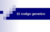 El codigo genetico. El “Código genético” ¿Cómo esta codificada la información genética? Y ¿Cómo se produce la transferencia del DNA al RNA? Investigaciones.