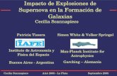 Cecilia Scannapieco AAA 2005 - La PlataSeptiembre 2005 Impacto de Explosiones de Supernova en la Formación de Galaxias Instituto de Astronomía y Física.