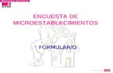 ENCUESTA DE MICROESTABLECIMIENTOS FORMULARIO FORMULARIO.
