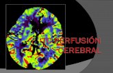 TC PERFUSIÓN CEREBRAL PRINCIPIOS BÁSICOS  La perfusión del tejido cerebral normal se mantiene dentro de un rango muy estrecho por la autorregulación.