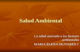 Salud Ambiental Salud Ambiental La salud asociada a los factores ambientales MARIA ELENA OLIVARES J.