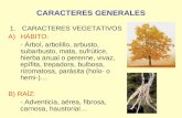 CARACTERES GENERALES 1.CARACTERES VEGETATIVOS A)HÁBITO: - Árbol, arbolillo, arbusto, subarbusto, mata, sufrútice, hierba anual o perenne, vivaz, epífita,