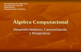 Álgebra Computacional Álgebra Computacional Desarrollo histórico, Caracterización y Perspectivas Universidad de Valparaíso Facultad de Ciencias Matemática.