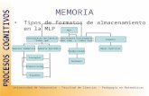 PROCESOS COGNITIVOS MEMORIA Tipos de formatos de almacenamiento en la MLP Universidad de Valparaíso – Facultad de Ciencias – Pedagogía en Matemáticas Producciones.