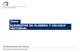 Tema 1 ELEMENTOS DE ÁLGEBRA Y CÁLCULO VECTORIAL Fundamentos de Física Facultad de Ciencias del Mar.