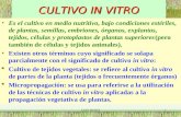 LUIS ROSSI1 CULTIVO IN VITRO Es el cultivo en medio nutritivo, bajo condiciones estériles, de plantas, semillas, embriones, órganos, explantos, tejidos,