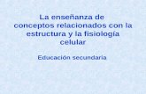 La enseñanza de conceptos relacionados con la estructura y la fisiología celular Educación secundaria.