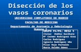 Disección de los vasos coronarios UNIVERSIDAD COMPLUTENSE DE MADRID FACULTAD DE MEDICINA Departamento de Anatomía y Embriología Humana I GRUPO P4/P6; MESA.