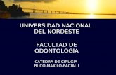 UNIVERSIDAD NACIONAL DEL NORDESTE FACULTAD DE ODONTOLOGÍA CÁTEDRA DE CIRUGÍA BUCO-MÁXILO-FACIAL I.