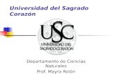 Universidad del Sagrado Corazón Departamento de Ciencias Naturales Prof. Mayra Rolón.
