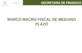 MARCO MACRO FISCAL DE MEDIANO PLAZO SECRETARIA DE FINANZAS.