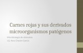 Carnes rojas y sus derivados microorganismos patógenos Microbiología de alimentos I.Q. Kevs Chacón García.