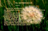 EL SEMBRADOR MATEO 13 … SALIO EL SEMBRADOR A SEMBRAR Y, AL SEMBRAR, PARTE DE LA SEMILA CAYÓ JUNTO AL CAMINO; VINIERON LAS AVES Y SE LAS COMIERON. OTRA.