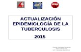 ACTUALIZACIÓN EPIDEMIOLOGÍA DE LA TUBERCULOSIS 2015 Ricardo Rodríguez Barrientos Médico de Familia GdT Infecciosas SoMaMFyC.