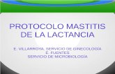 PROTOCOLO MASTITIS DE LA LACTANCIA E. VILLARROYA. SERVICIO DE GINECOLOGÍA E. FUENTES SERVICIO DE MICROBIOLOGÍA.