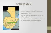 TOTONICAPAN. Población de Totonicapán: 339,254 habitantes contabilizados al 2010. 97.9% de población indígena maya quiche y el 2.1% no indígena. La característica.