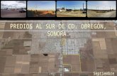 Se ubica en el sur del Estado de Sonora, dentro del Valle del Yaqui.  Cajeme surge como municipio el 29 de noviembre de 1927  Su extensión territorial.