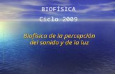 Biofísica de la percepción del sonido y de la luz BIOFÍSICA Ciclo 2009.