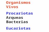 Organismos Vivos Procariotas Arqueas Bacterias Eucariotas Protistas, Hongos, Plantas y Animales.