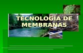 TECNOLOGÍA DE MEMBRANAS. Tecnología de Membranas 1. Introducción -La membrana como elemento separador: La tecnología de membranas se ha convertido en.