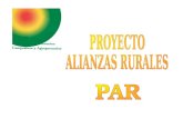 El Proyecto Alianzas Rurales pretende probar y establecer un nuevo enfoque del desarrollo rural a partir de alianzas productivas entre pequeños productores.