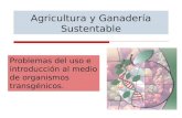 Agricultura y Ganadería Sustentable Problemas del uso e introducción al medio de organismos transgénicos.