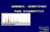 GENOMAS: GENOTIPADO PARA DIAGNÓSTICO Daniel Grinberg Departament de Genètica Universitat de Barcelona.