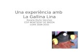 Una experiència amb La Gallina Lina Rosalia Muñiz Sánchez CEIP MONTSENY DE BREDA CURS 2009-2010.