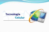 Tecnología Celular Celular. Conocer la información tecnológica para identificar los productos y servicios asociados a las telecomunicaciones.
