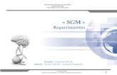 1 « SGM » Requerimientos UNIVERSIDAD TECNOLOGICA DE CHILE INACAP Ingeniería Informática Taller integral de Proyecto Informático Profesor: Jorge Saavedra.