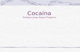Cocaína Profesor Jorge Rojas Chaparro. ¿Qué es la cocaína? La cocaína es una droga estimulante y altamente adictiva que se extrae de las hojas del arbusto.