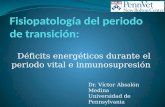 Déficits energéticos durante el periodo vital e inmunosupresión Dr. Víctor Absalón Medina Universidad de Pennsylvania.