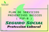 PSPB - A 24 1 PLAN DE SERVICIOS PREVENTIVOS BÁSICOS ( PSP-B )