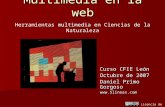 Licencia de uso Multimedia en la web Curso CFIE León Octubre de 2007 Daniel Primo Gorgoso  Herramientas multimedia en Ciencias de la Naturaleza.
