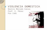 VIOLENCIA DOMESTICA Beatriz Mercado Cuevas Prof. E. Pérez Pro 1101.