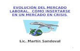 1 EVOLUCIÓN DEL MERCADO LABORAL. CÓMO INSERTARSE EN UN MERCADO EN CRISIS. Lic. Martín Sandoval.