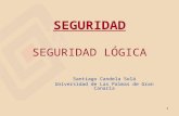 1 SEGURIDAD SEGURIDAD LÓGICA Santiago Candela Solá Universidad de Las Palmas de Gran Canaria.