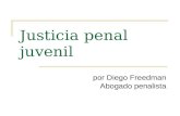 Justicia penal juvenil por Diego Freedman Abogado penalista.