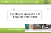 Gestión de la Empresa Veterinaria | Gabriel Rodriguez Estrategias aplicables a la Empresa Veterinaria.