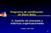 1 Programa de certificación de Black Belts II. Gestión de procesos y métricas organizacionales P. Reyes / Abril 2010.