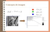 37 Concepto de imagen x x y y. 38 Muestreo y cuantificación Muestreo: Digitalización de las coordenadas espaciales (x,y) Cuantificación: Digitalización.