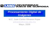 Procesamiento Digital de Imágenes M.C. Juan Carlos Olivares Rojas jolivares@uvaq.edu.mx Mayo, 2009.