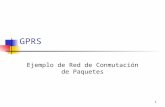 1 GPRS Ejemplo de Red de Conmutación de Paquetes.