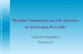 Métodos Numéricos para Ecuaciones en Derivadas Parciales Cálculo Numérico Práctica 4.