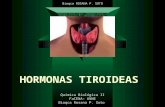 Bioqca ROSANA P. SOTO HORMONAS TIROIDEAS Química Biológica II FaCENA- UNNE Bioqca Rosana P. Soto.