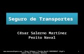 Seguro de Transportes 1  / César Salerno / Perito Naval/ MARCONSULT Lloyd's agents Peru, Colombia, Bolivia.