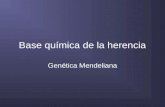 Base química de la herencia Genética Mendeliana. Introducción La Genética tiene por objeto el estudio de la herencia biológica. Se le atribuye a G. Mendel.