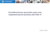 Consideraciones generales para una implementación práctica del Pilar II Febrero 2010.