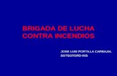 BRIGADA DE LUCHA CONTRA INCENDIOS JOSE LUIS PORTILLA CARBAJAL SGTEGTGRD-INS.